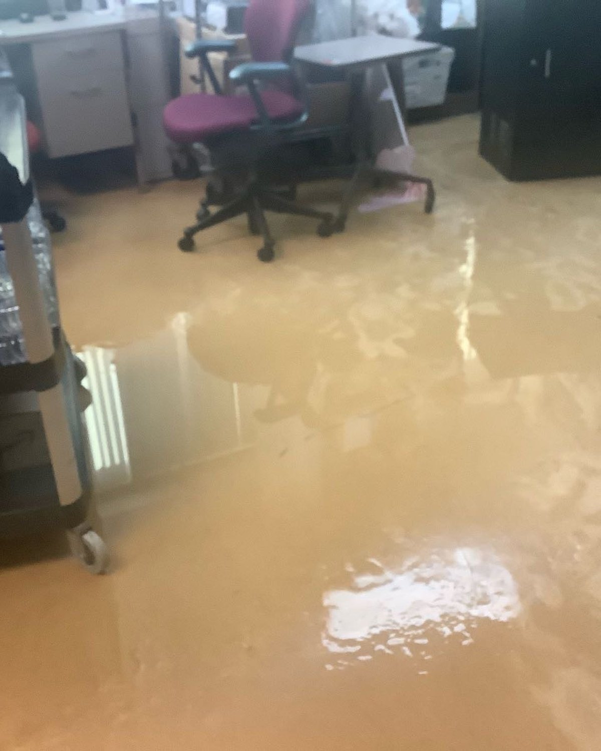 Standing contaminated water inside a storage room before cleanup